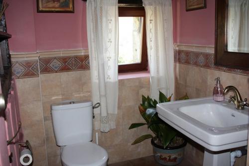 Baño general