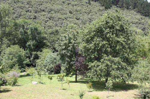 Jardín
