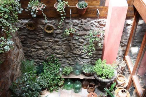 Patio interior
