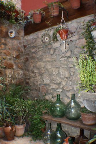 Patio interior