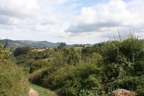 Vistas 